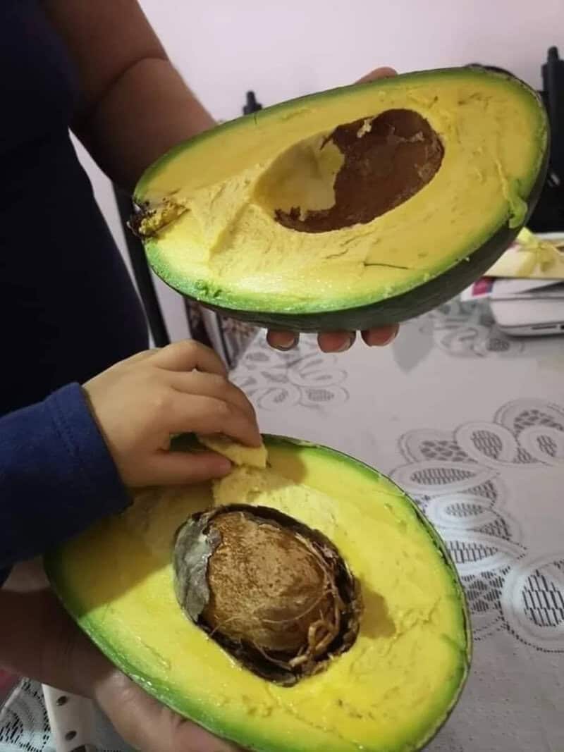 Person holding two halves of an avocado with a large seed inside.