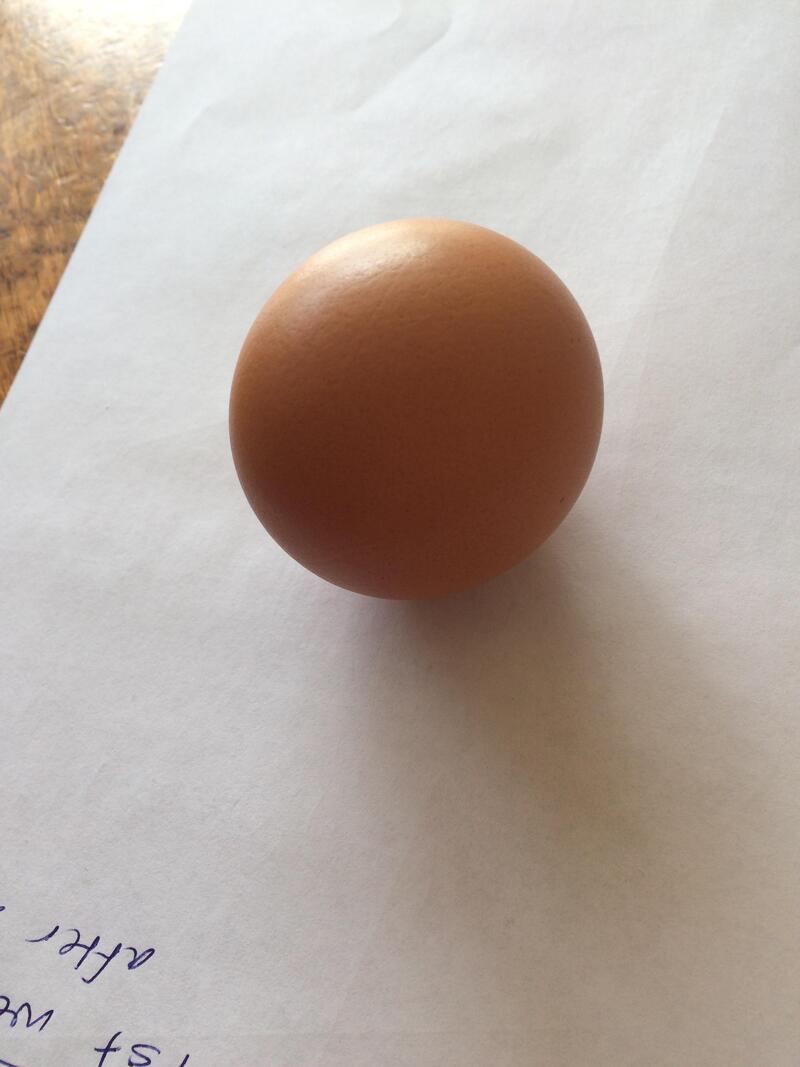 Brown egg on white paper with handwritten note partially visible.