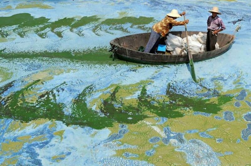 Two women in a boat on water with green algae or pollution.