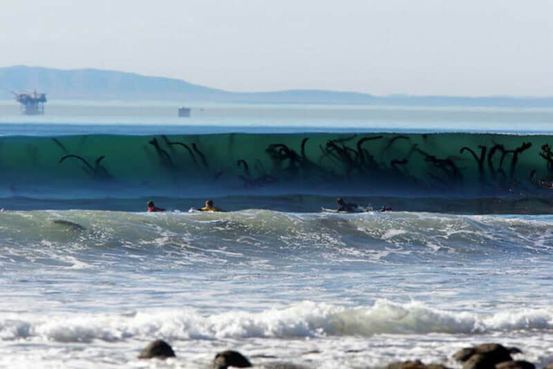 Surfers riding a large green wave with a distant shoreline and ships in the background.