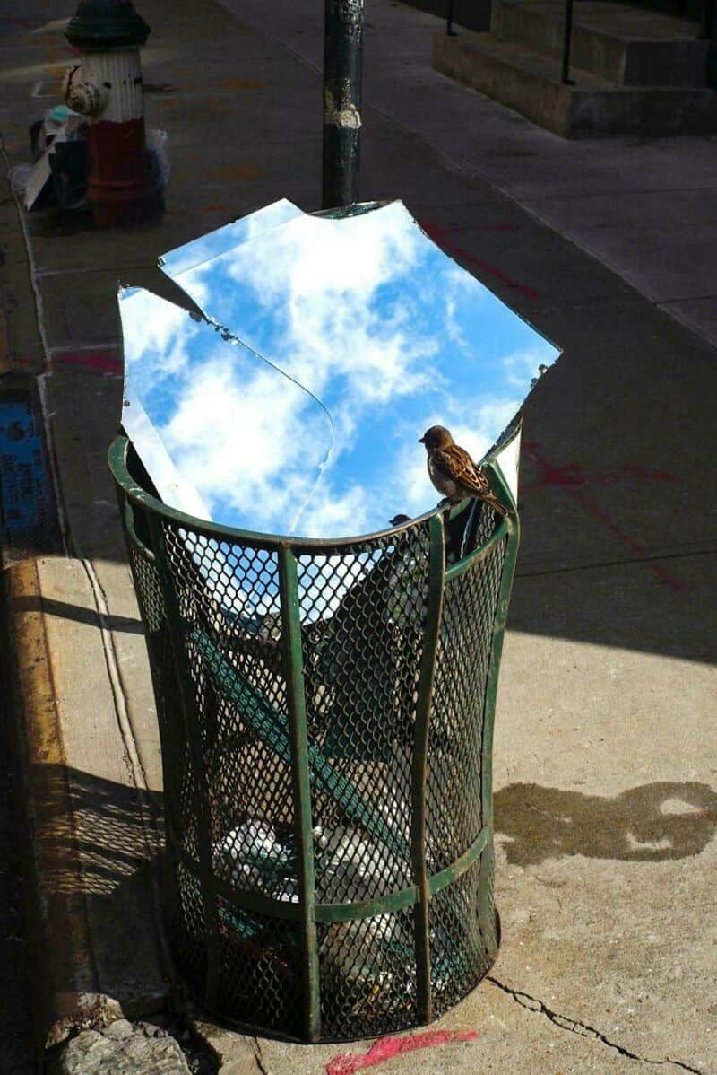 Mirror in trash can reflecting blue sky and clouds, with a bird perched on the edge.