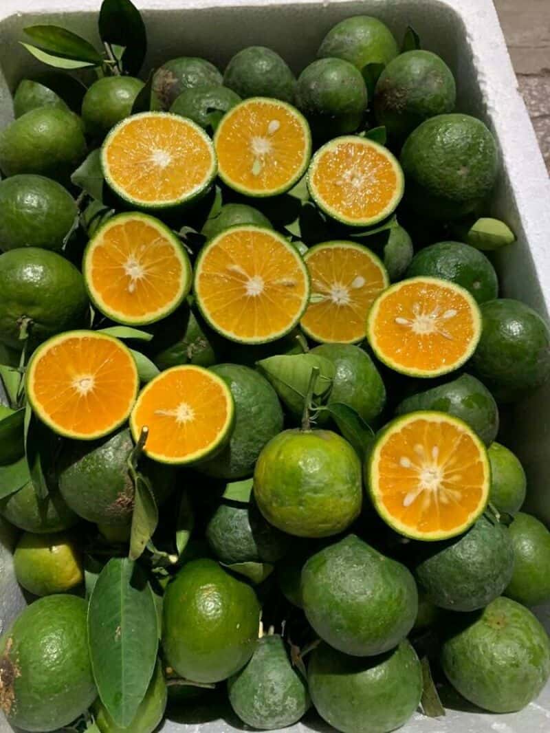 Fresh green and sliced oranges in a box.