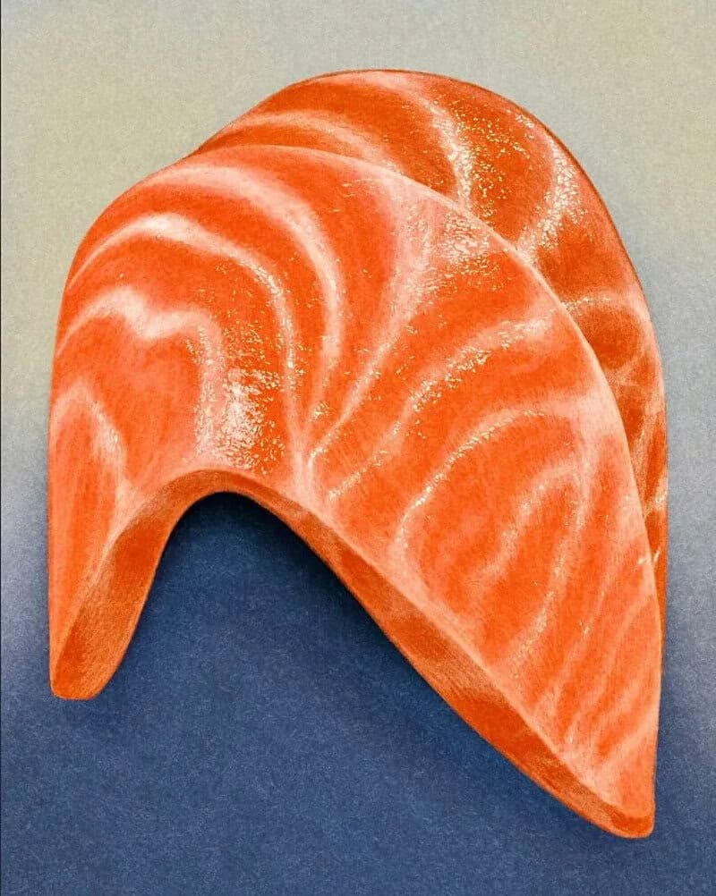 Close-up of a salmon fillet with orange and white marbling.