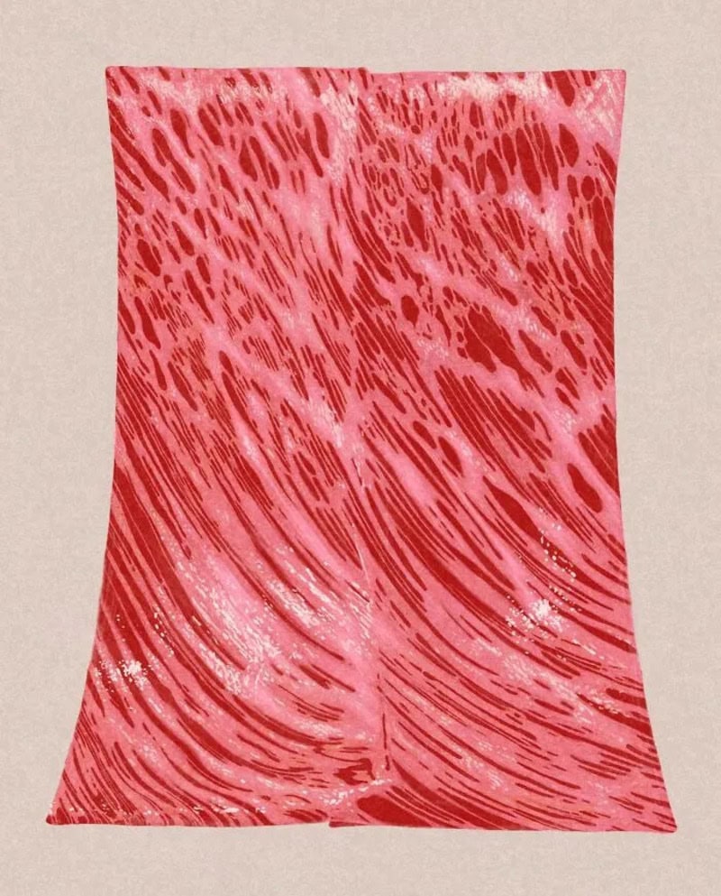 Close-up of marbled red and white meat, possibly beef or pork.