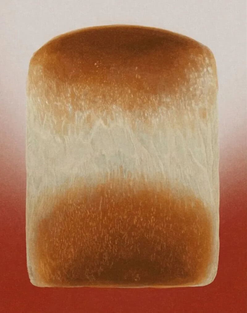 Close-up of a toasted bread slice with a golden-brown top and white bottom.