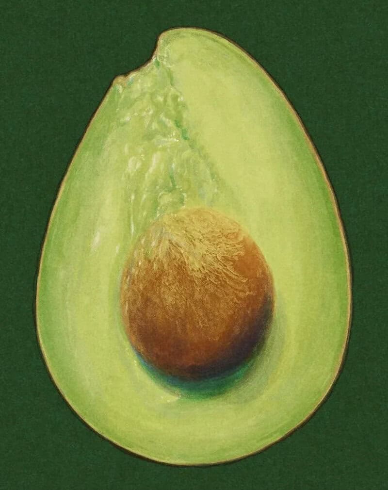 Realistic painting of a halved avocado with seed on green background.