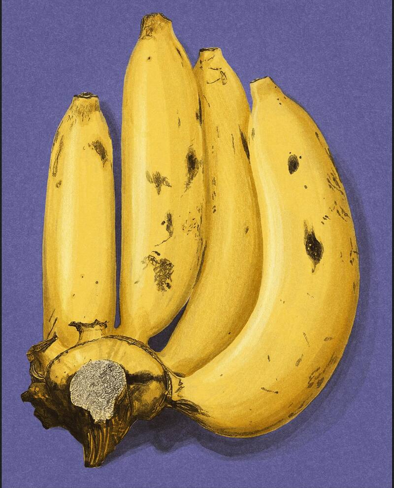 Four ripe bananas with brown spots on a purple background.