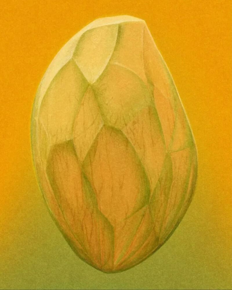 Painted image of a green and yellow seed or nut on a yellow background.