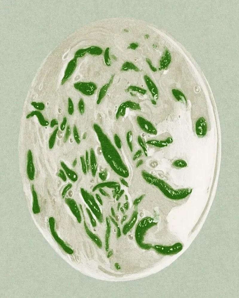 Abstract painting of a face with green and white colors, in a circular shape.