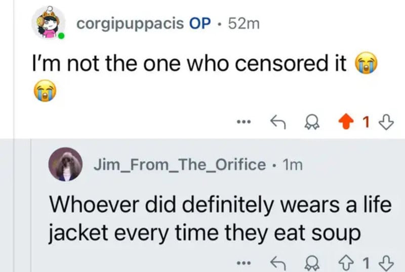 Social media comments about wearing a life jacket and not being the one who censored it.