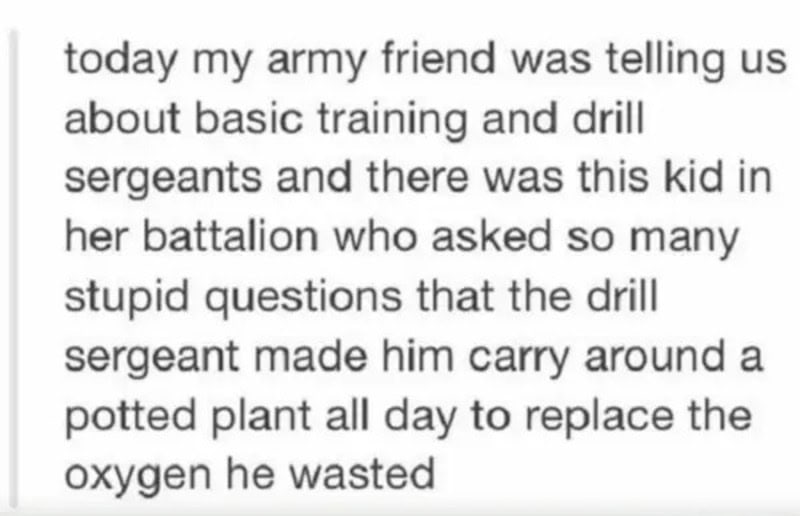 Text about army training and a kid asking questions during drill.