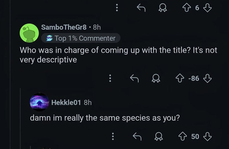 Online comment exchange about the title, with sarcastic remarks.