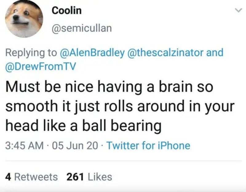 Twitter reply from Coolin saying having a brain is like a ball bearing in your head.
