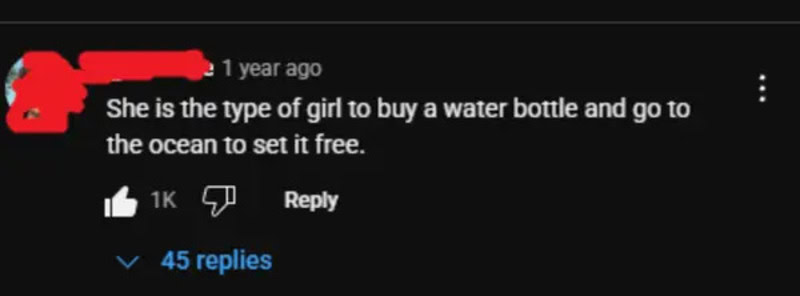 Comment about girl buying water bottle to set it free in the ocean.