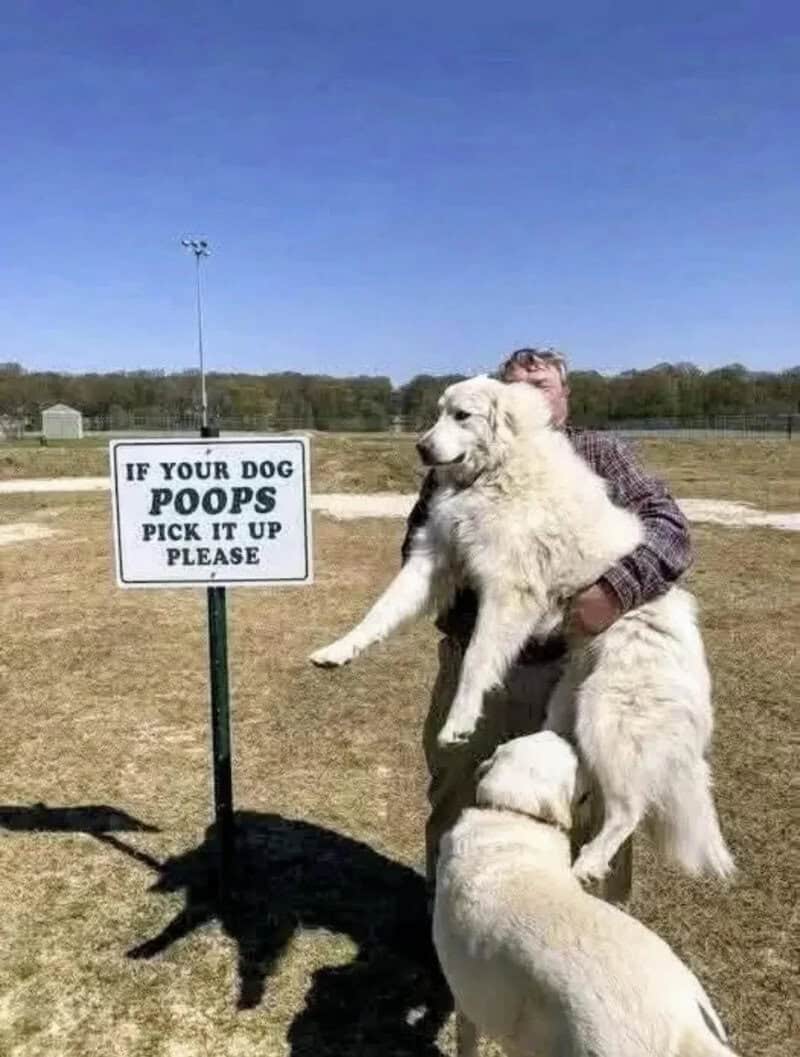 Person hugging a large dog near a sign that says 'If your dog poops pick it up please'.