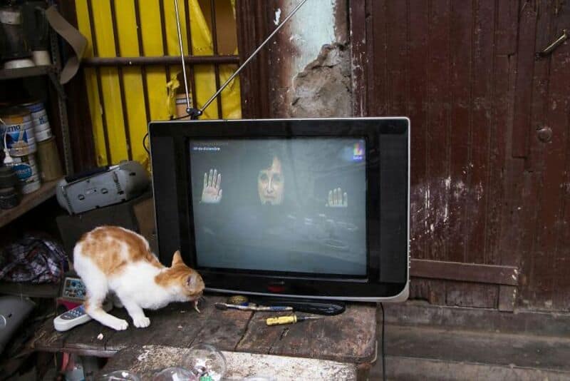 Cat watching a TV with a face on the screen in a cluttered room.
