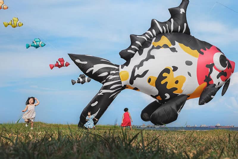 Colorful fish-shaped kite flying over children in a grassy field.