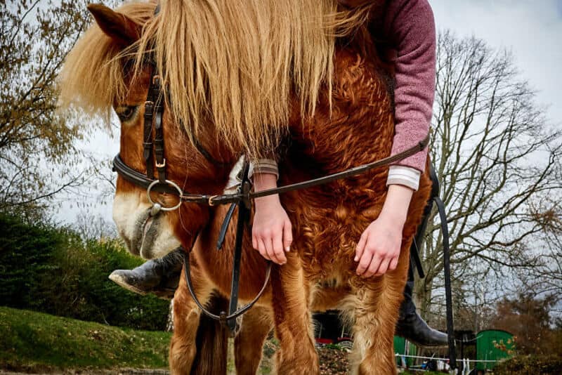 Person with long blonde hair riding a brown horse outdoors.