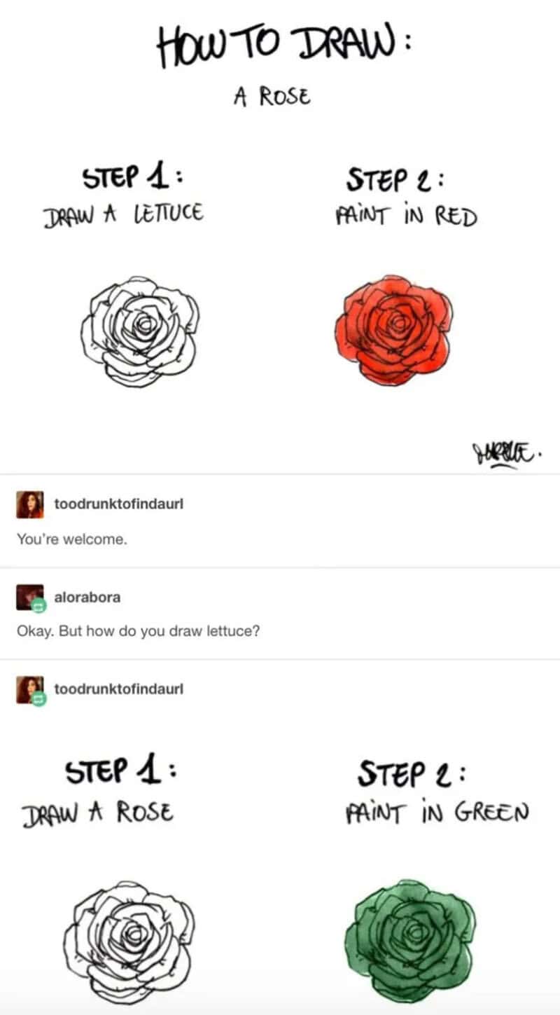  Step 1 draw a lettuce, Step 2 paint in red, Step 1 draw a rose, Step 2 paint in.