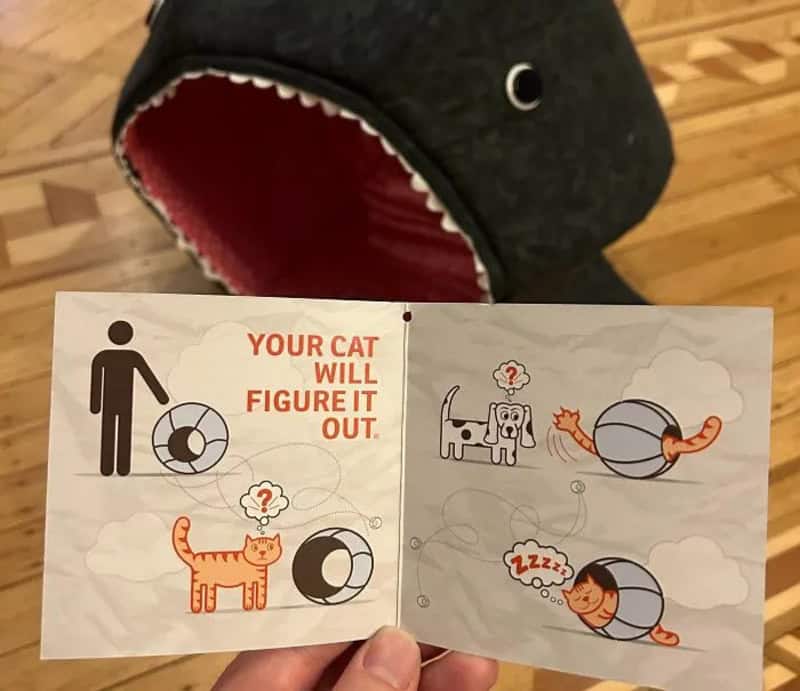 Funny instructions with a cat and a ball, showing how a cat will figure it out.