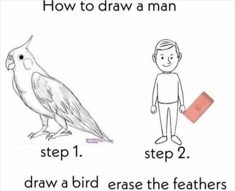  step 1, draw a bird, step 2, erase the feathers.
