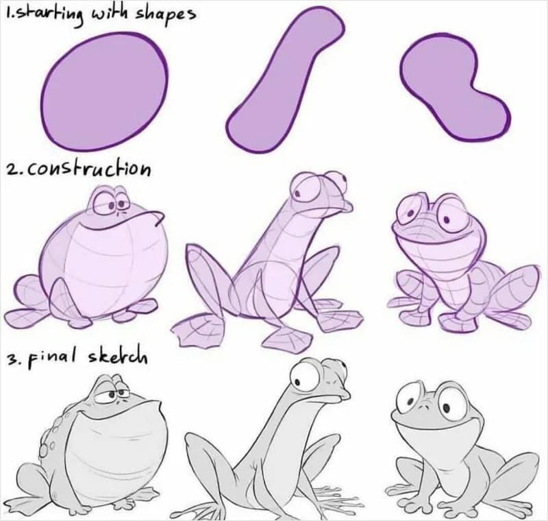 Step-by-step guide to drawing a frog from shapes to final sketch.