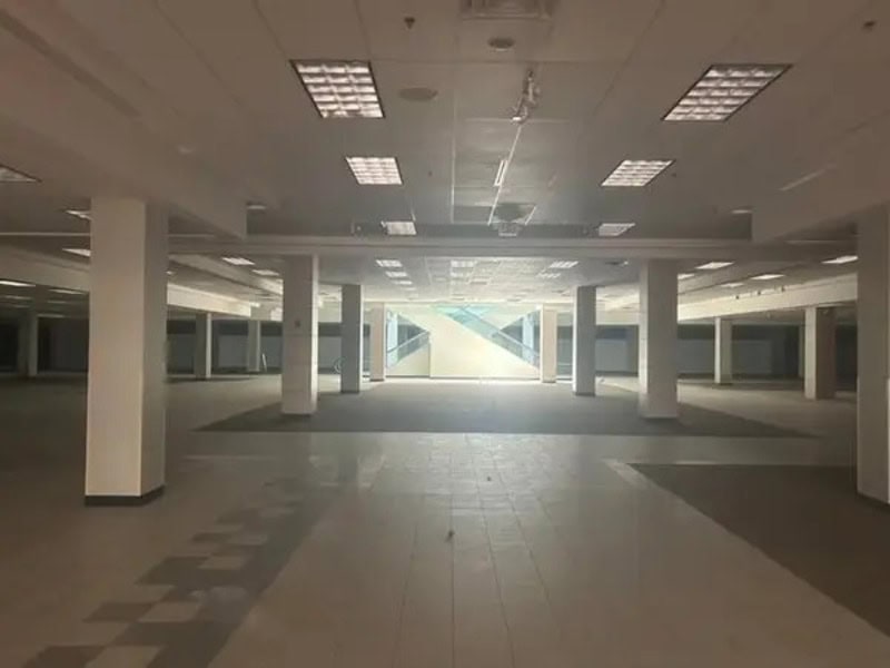 Empty underground parking lot with white pillars and ceiling lights.