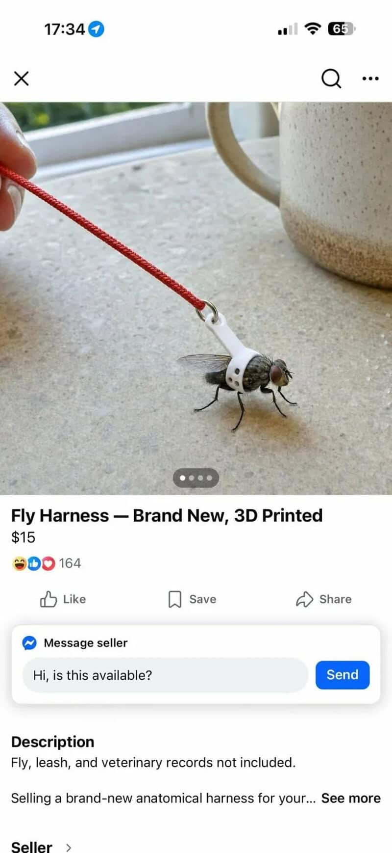 A fly harness toy with a red string and a plastic fly attached, on a gray surface.