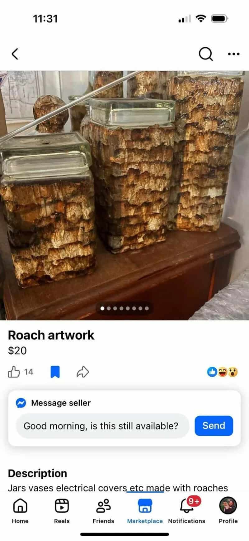 Three jars with roach artwork covers made from roaches on a wooden surface.