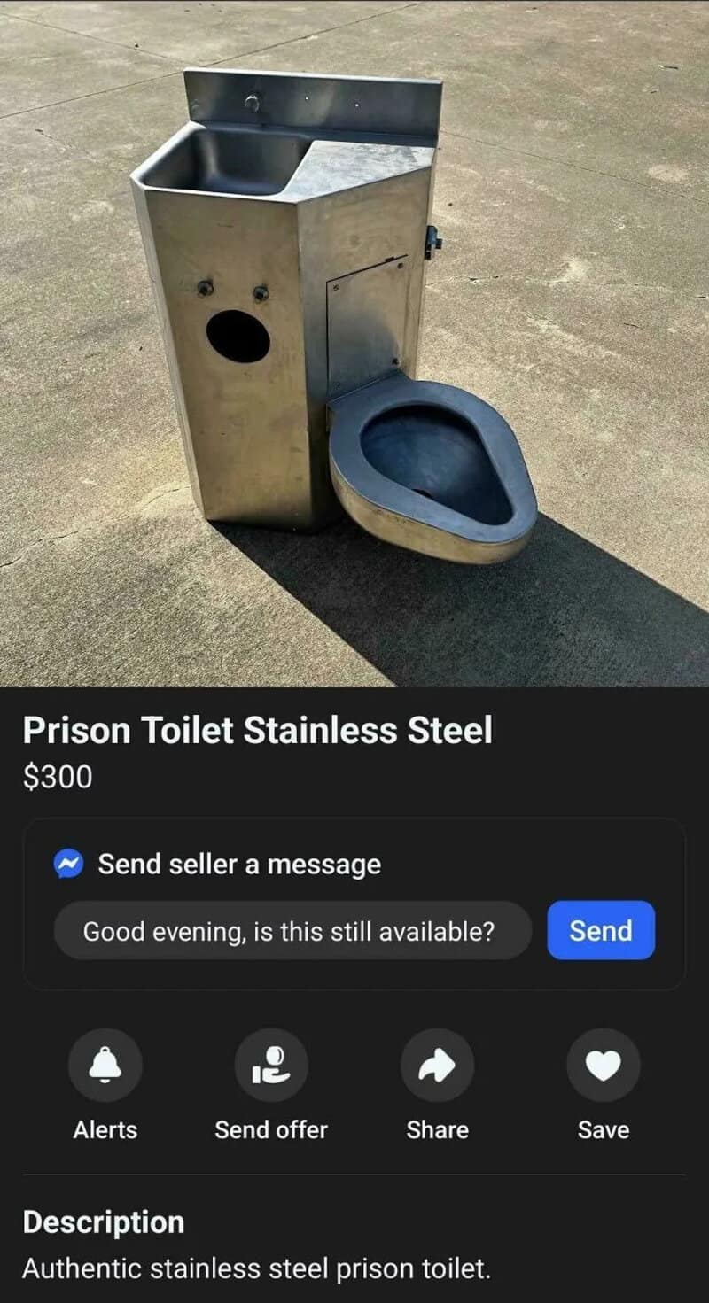 Stainless steel prison toilet with a high back and a black seat, outdoor setting.