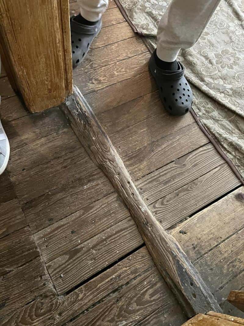 Person wearing black Crocs and gray pants standing on wooden floorboards.