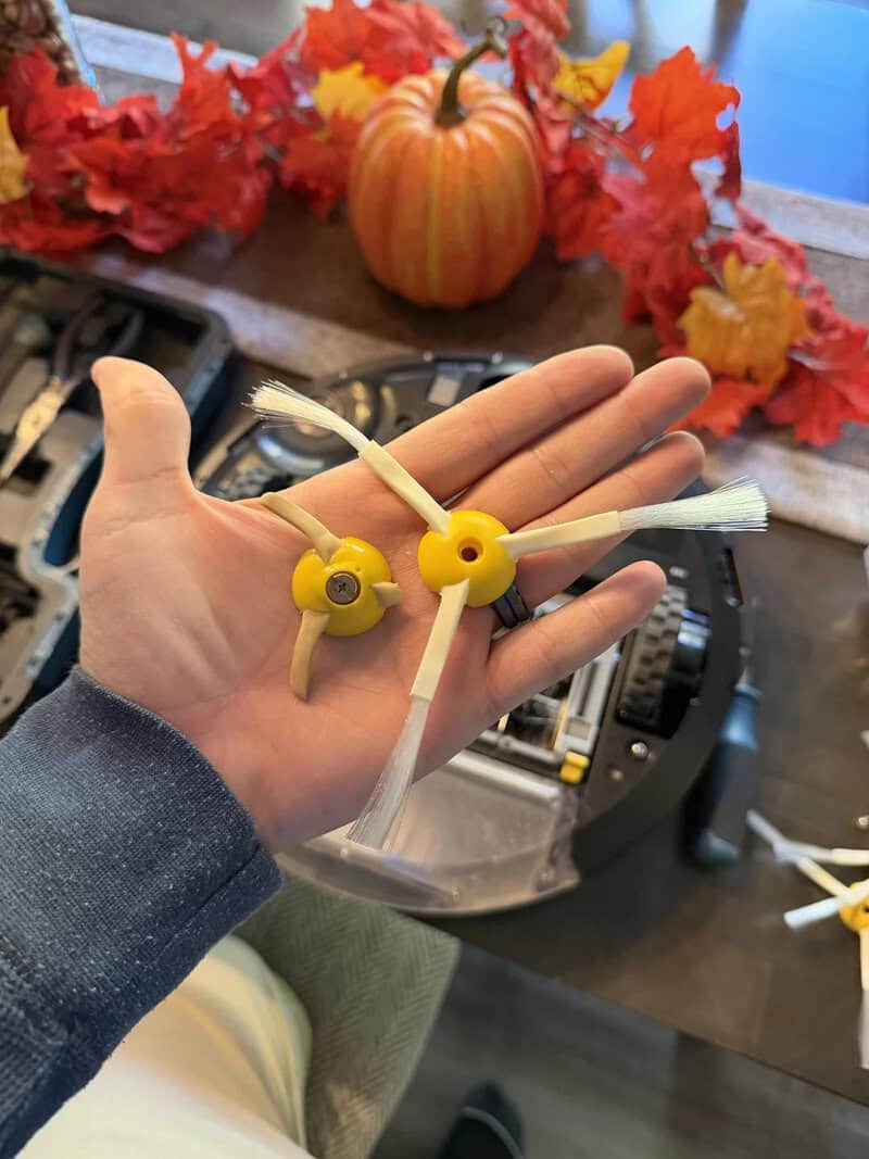 Hand holding three yellow and white propellers with fall leaves and pumpkin in background.