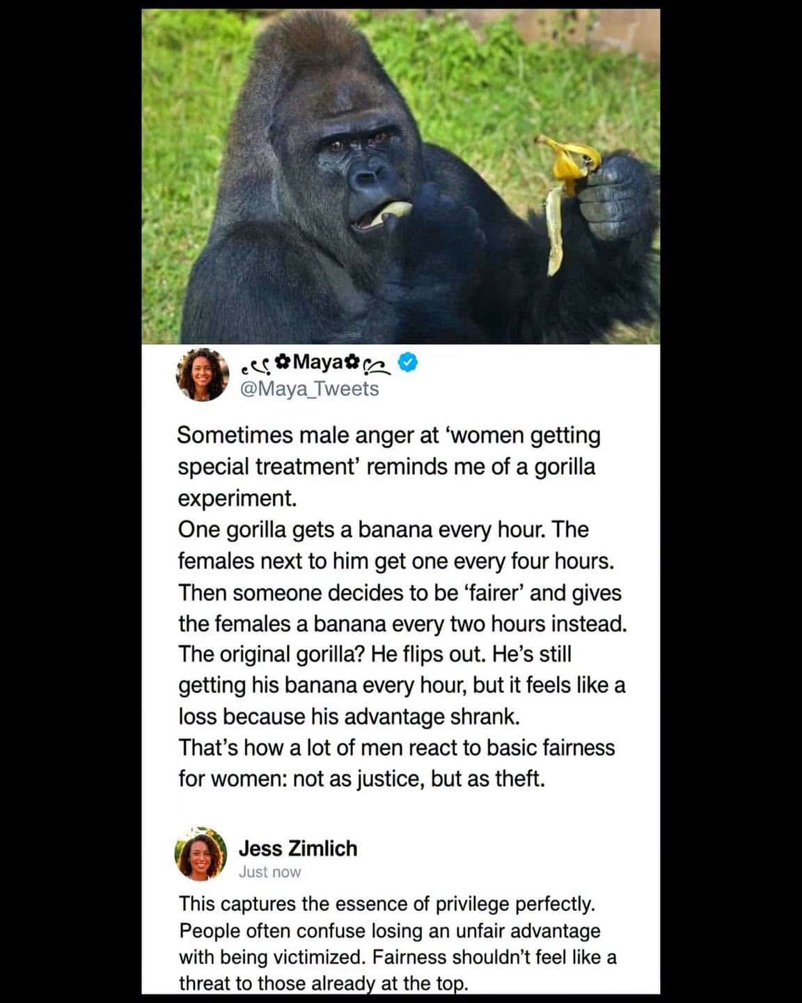 Gorilla holding a banana with a yellow peel, looking at it intently.