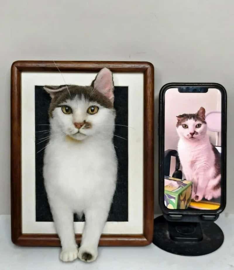 Photo of a cat with a framed picture of the same cat behind it.