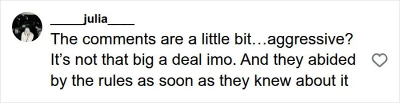 Screenshot of a social media comment discussing comments being aggressive.