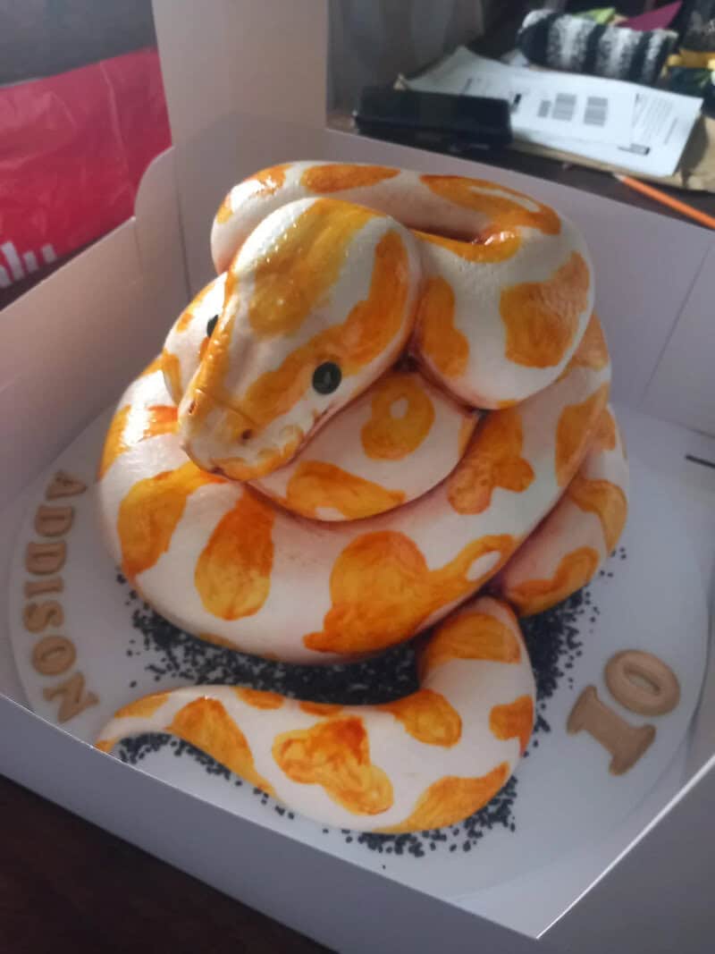 Cake shaped like a white and orange patterned snake in a box.