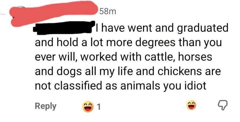 User's comment about graduating and working with animals, with emojis.