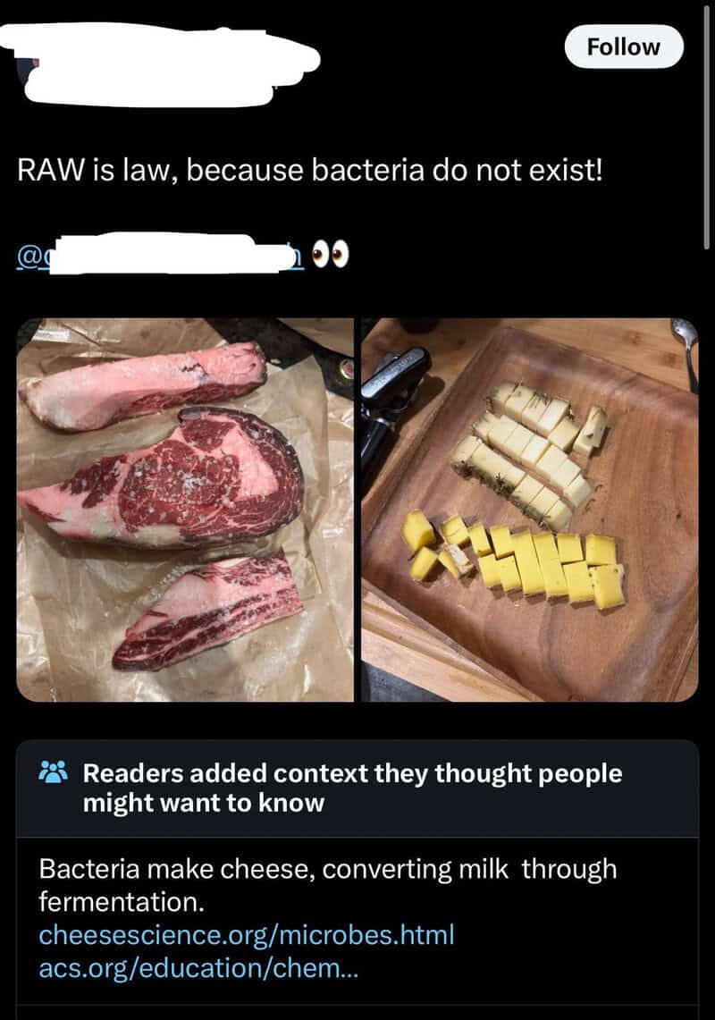 Raw meat and cheese with a humorous caption about bacteria and law.