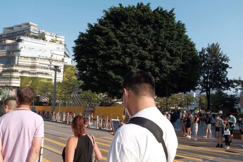 People crossing a street with a large tree and modern buildings in the background.