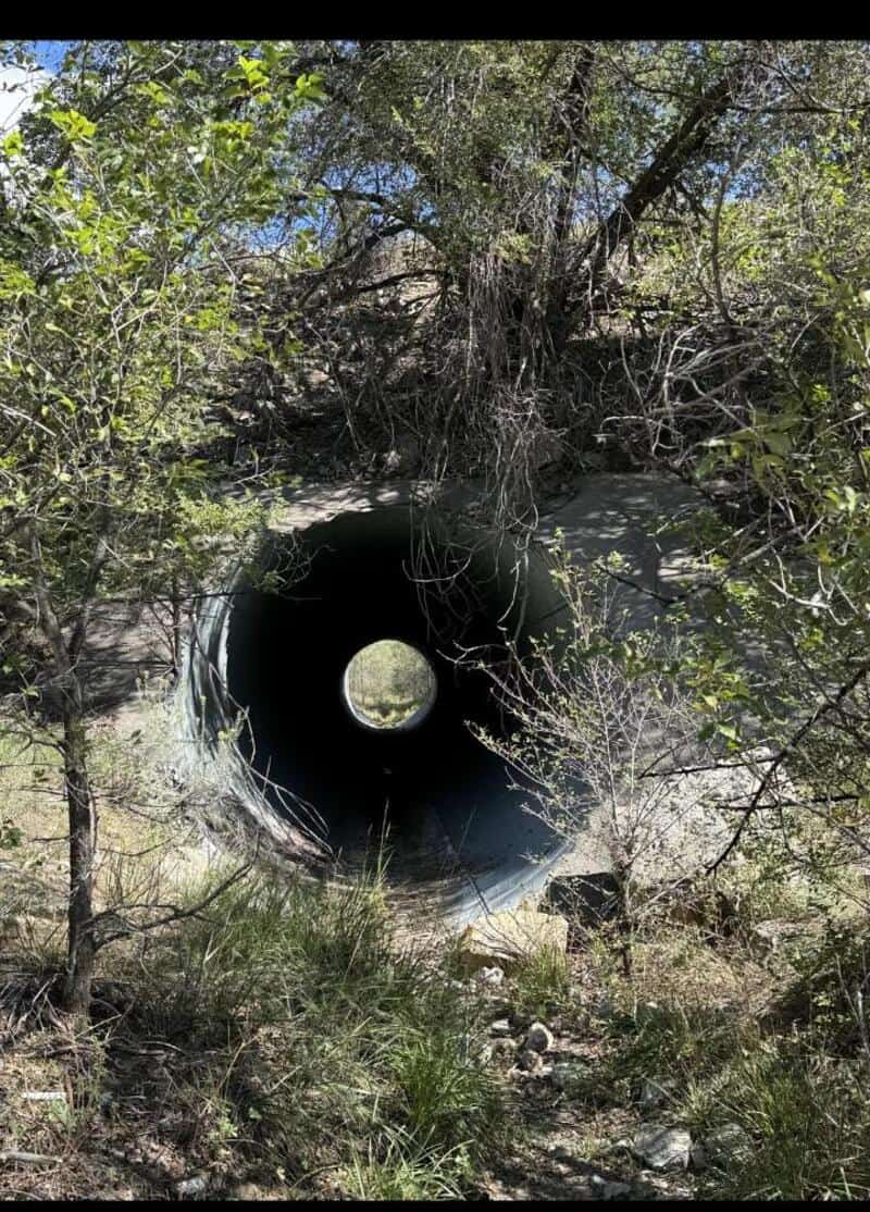 A pipe with a hole showing a view of the sky and trees through it, surrounded by bushes and trees.