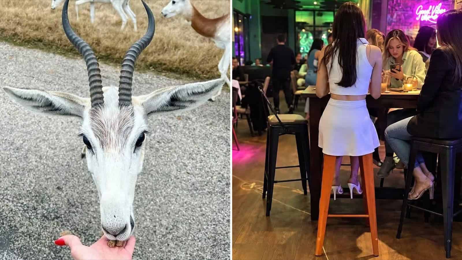 A person with long hair and a white dress sitting on a high stool at a bar.