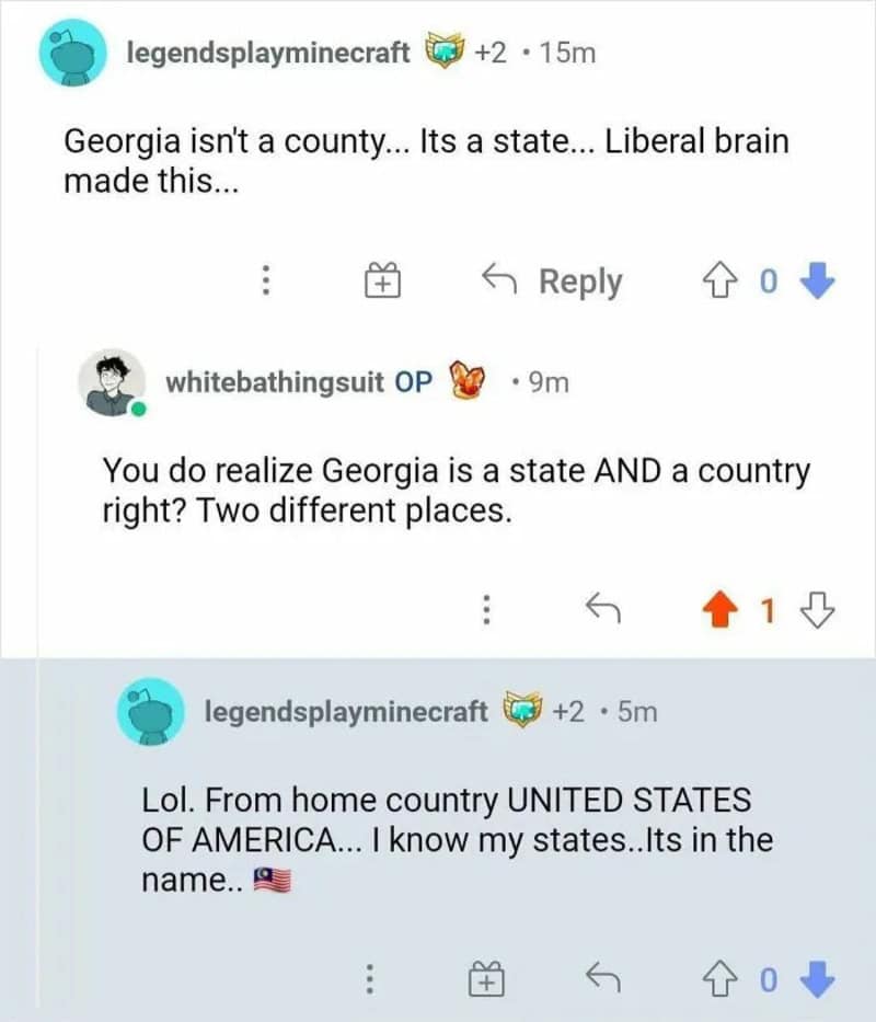 Online conversation about Georgia being a state and country, with US flag emoji.