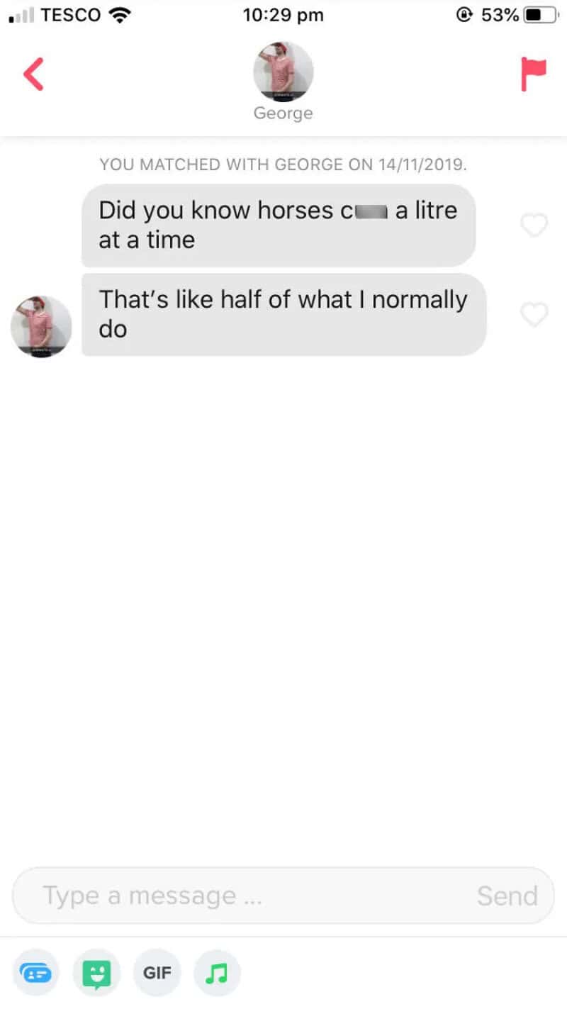 Text conversation about horses and litres from a dating app.