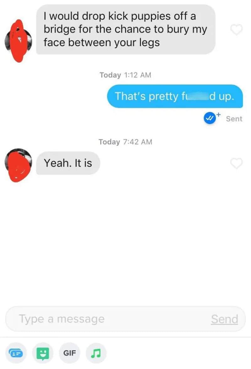 Text conversation about dropping puppies off a bridge, with a red cartoon face icon.