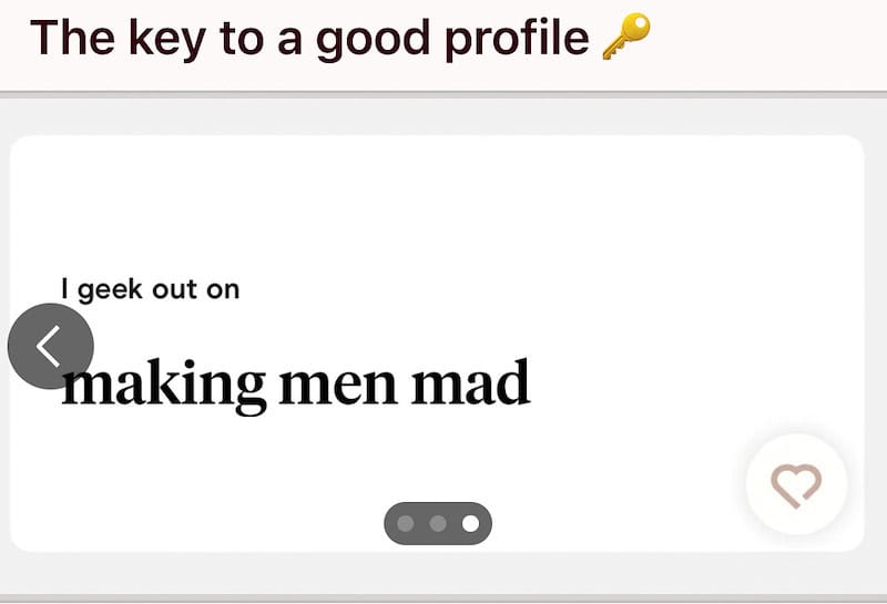 The key to a good profile: I geek out on making men mad.