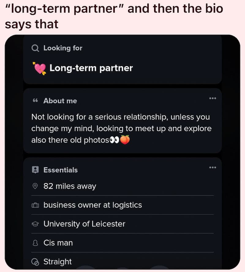 Dating app profile showing 'Long-term partner' and bio about exploring old photos.