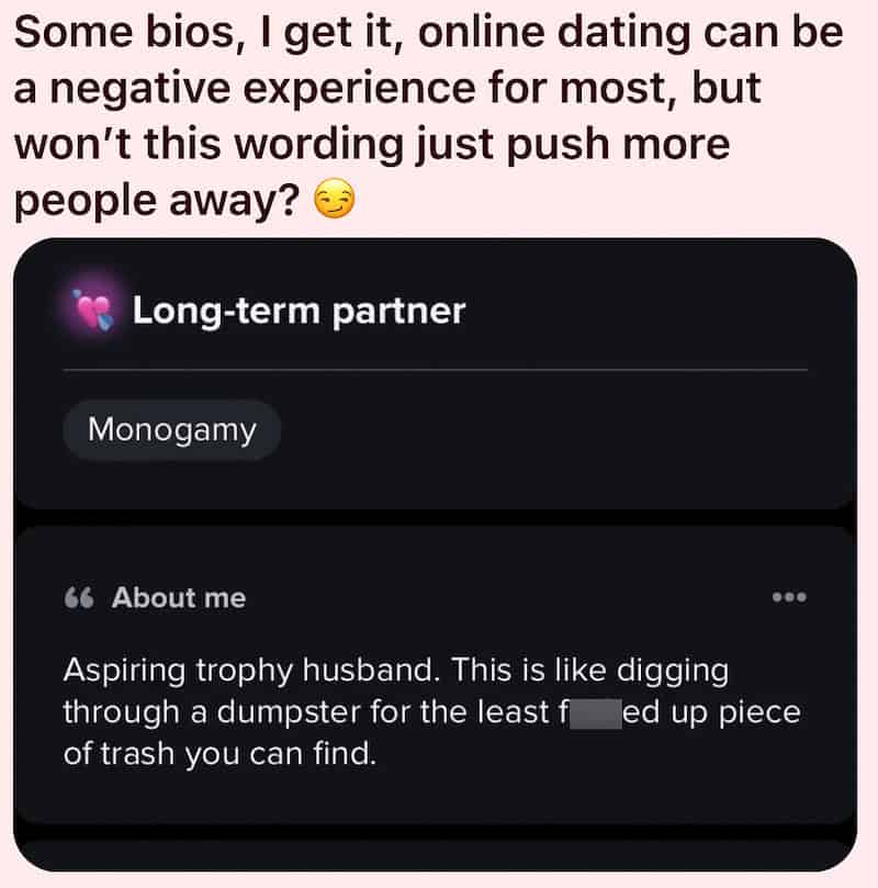 Online dating bio with negative comments about a partner, referencing trash and a trophy husband.