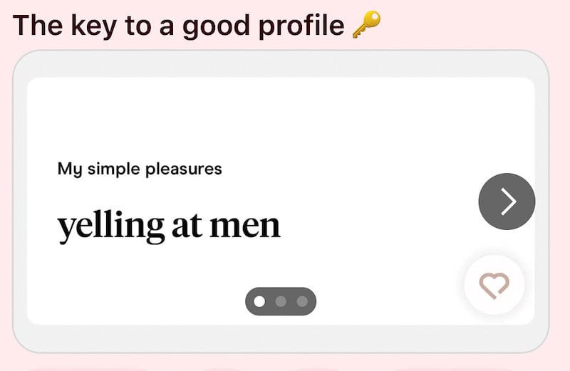 My simple pleasures yelling at men on a dating app.