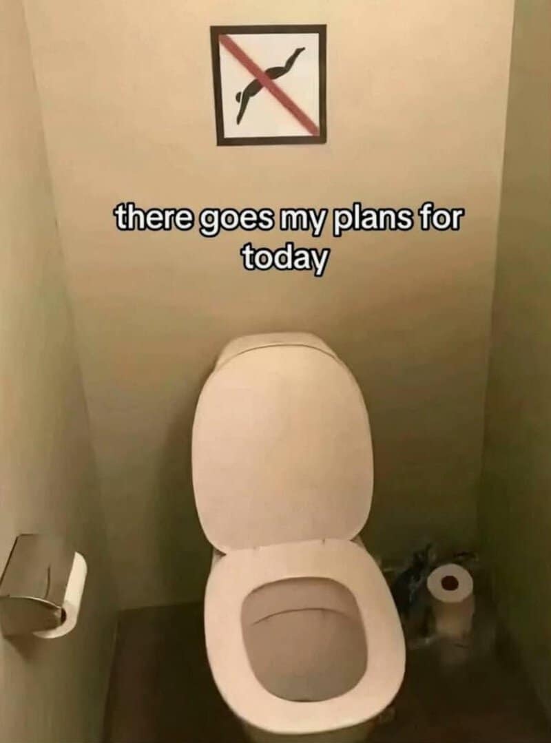 No smoking sign above a toilet with text 'there goes my plans for today'.