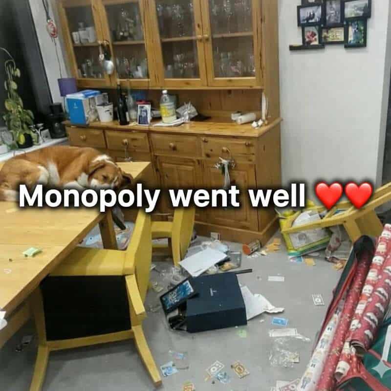 Dog lying on a table with a messy room and the text 'Monopoly went well' with hearts.